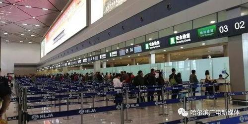 哈尔滨航班爆料信息最新,揭秘航班延误背后的真相  第1张